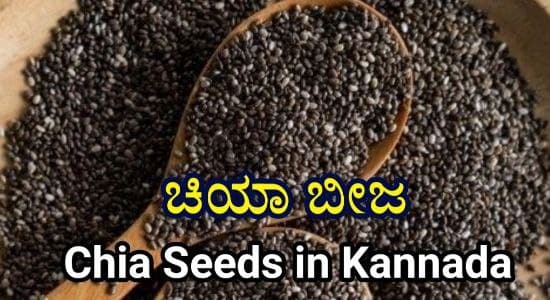 chia-seeds-in-kannada-information