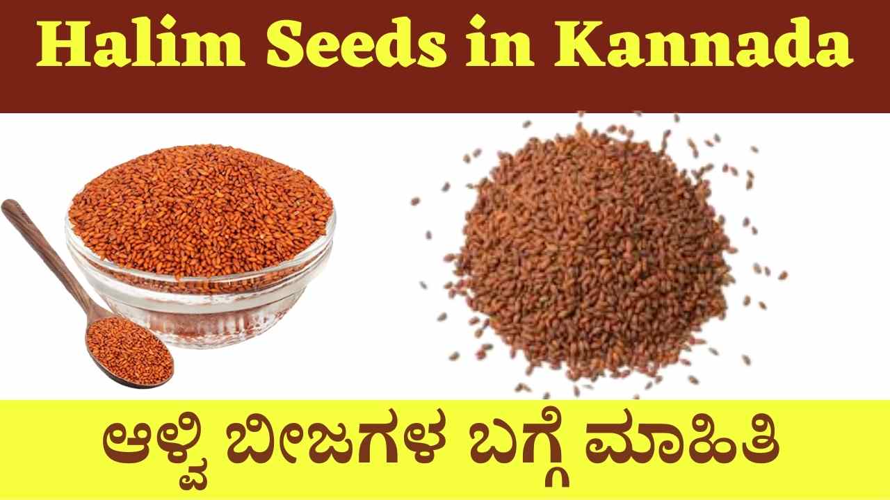 Halim Seeds in Kannada ಆಳ್ವಿ ಬೀಜಗಳ ಬಗ್ಗೆ ಮಾಹಿತಿ