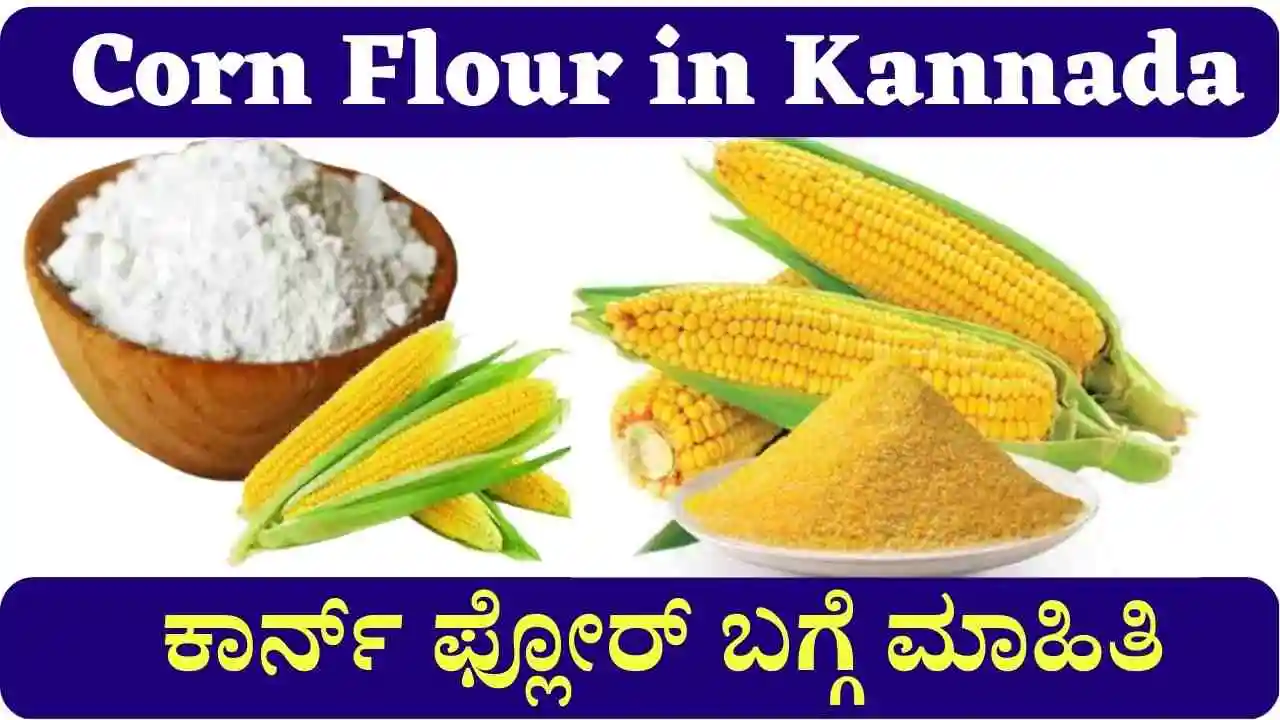 Wheat Flour Meaning In Kannada